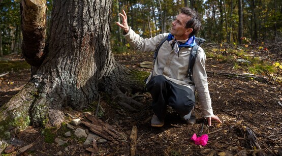 An instructor pointing to a tree while teaching wildlife tracking skills
