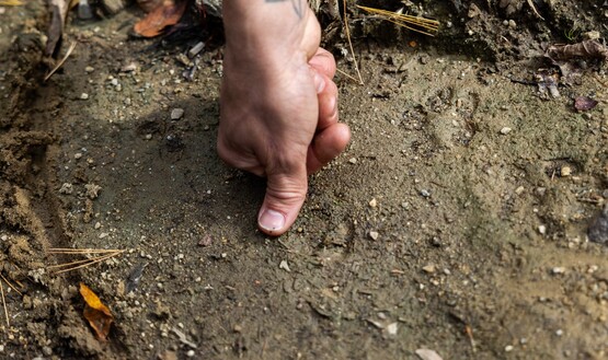 A person's hand with thumb placed on the ground, pointing out wildlife tracks