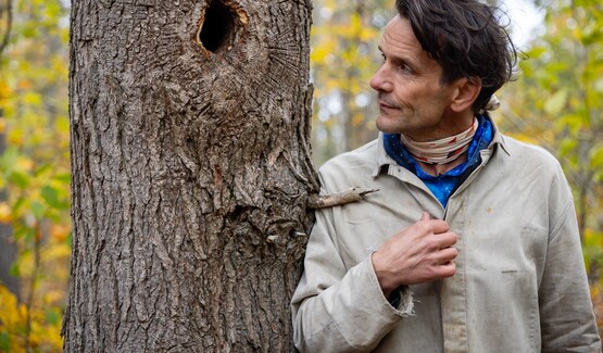 A man looking at a hole in a tree while teaching wildlife tracking skills