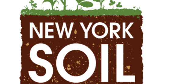 ​Join us at Gianforte Farms for a NY Soil Health Field Day focused on soil health in organic field crop systems. Free to attend, registration required.