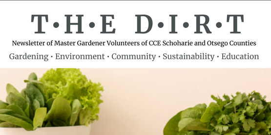 Gardening Newsletter: The Dirt! July 2026