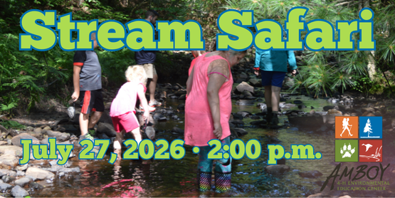 2026 Stream Safari