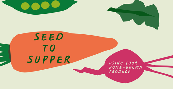 seed to supper flyer 