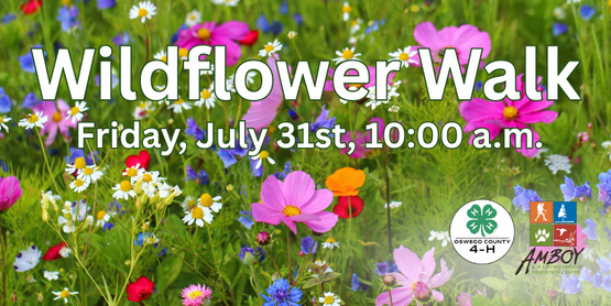 Wildflower Walk