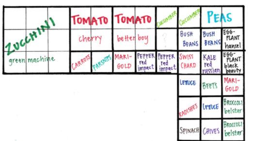 Square Foot Garden plan for demonstration bed. 