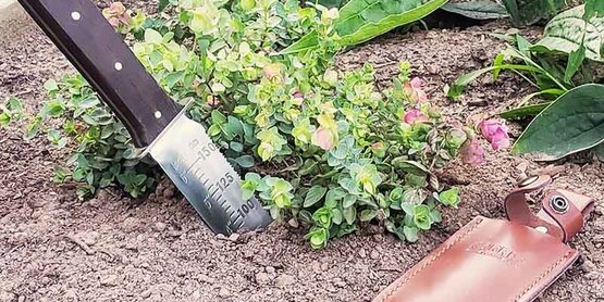 Soil Health Workshop
