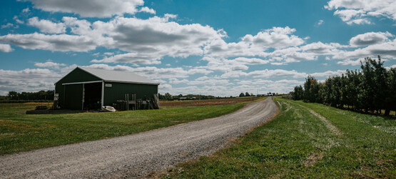 Farm