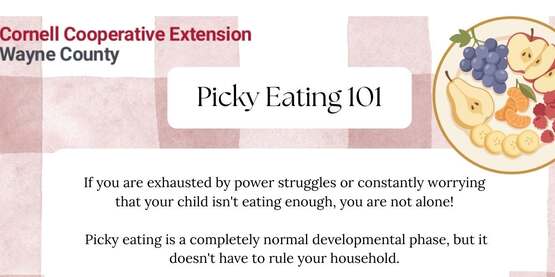 Picky Eating 101 - July 9th