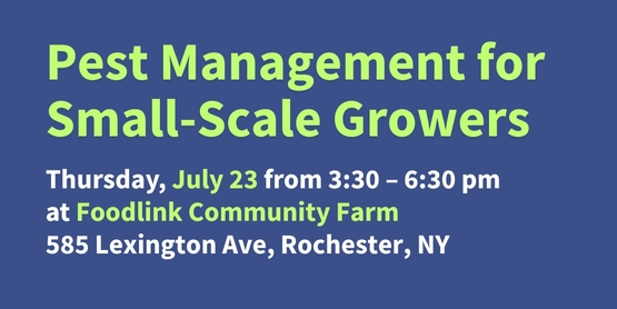 IPM Field Day