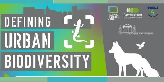 Urban Biodiversity event header