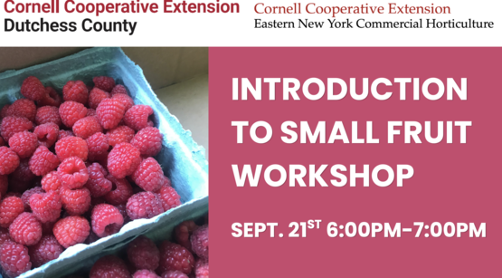 Small Fruit Workshop Header 