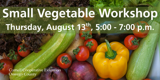 Small Vegetable Workshop
