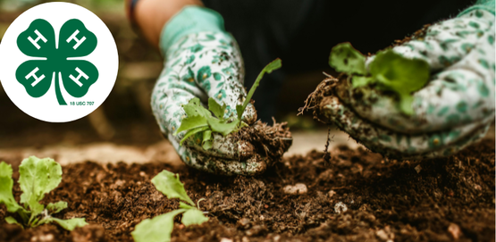 Put your hands to greater service at this community gardening opportunity.