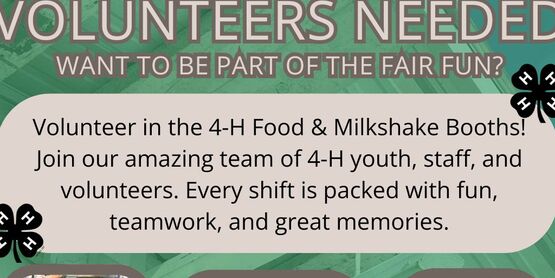 fair volunteers
