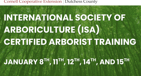 ISA 2027 Header with Event Dates: January 8th, 11th, 12th, 14th, 16th