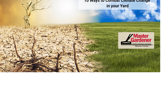 climate chagne