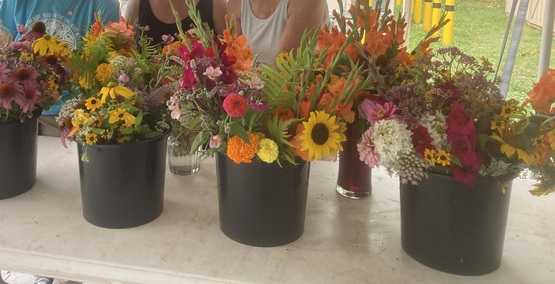 cut flowers