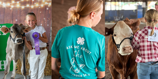4H Livestock Sale