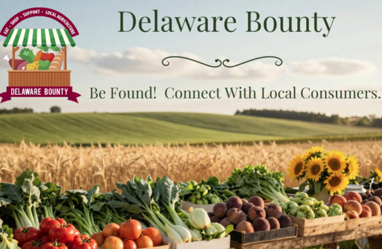 Delaware Bounty 2026