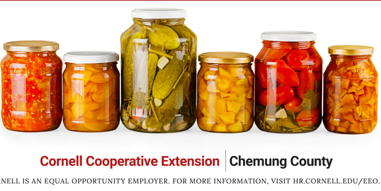 Food Preservation for Beginners 2026