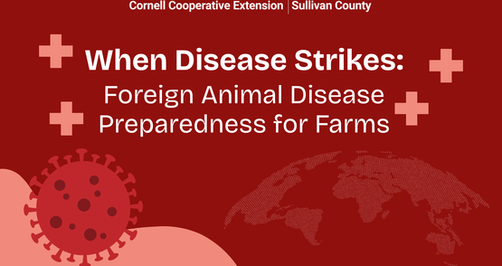 BANNER When Disease Strikes