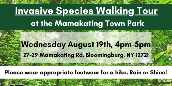 Invasive Species Walking Tour 08.2026