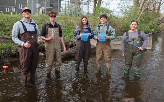 Eel monitoring 2025