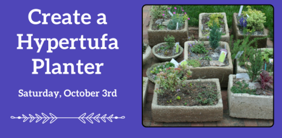 Create a Hypertufa Planter
Saturday, October 3rd