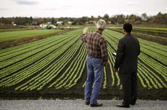 Leading the Farm Team: Supervisory Skills for New Managers 