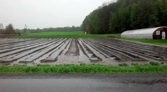 Flooded field, Yates County NY
