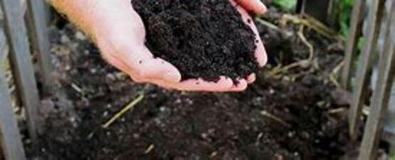 Madison County Solid Waste and Madison County Cooperative Extension are joining forces to host a composting workshop. Learn how turning food scraps and yard waste into compost can improve soil health and reduce waste. This session covers compost basics, what to add (and what to avoid), and simple tips to get started at home.  