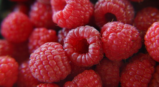 photo of fresh raspberries