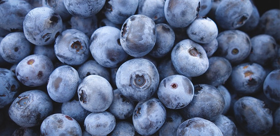 blueberries
