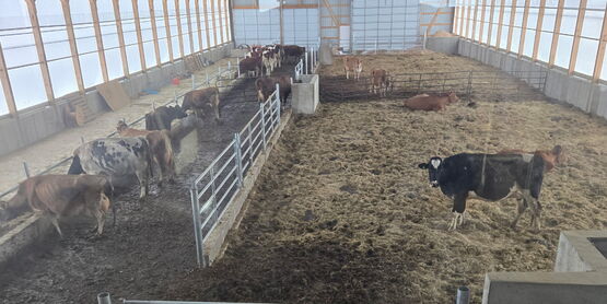 dairy barn freestell