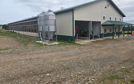 dairy barnfeedbin