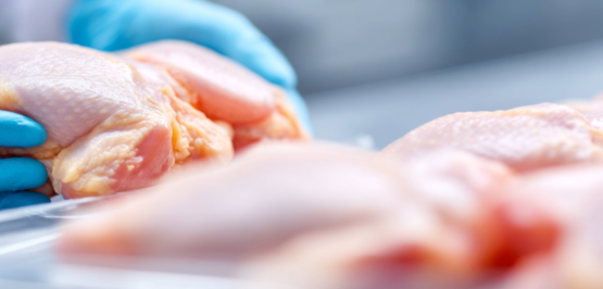 poultry processing