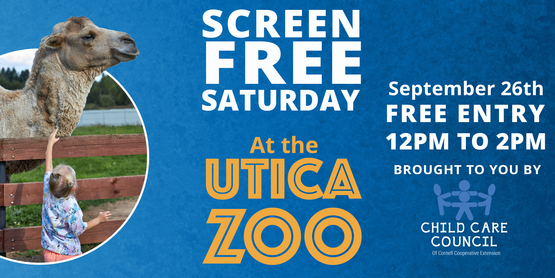 screen free sat
