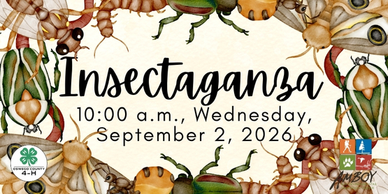 Insectaganza