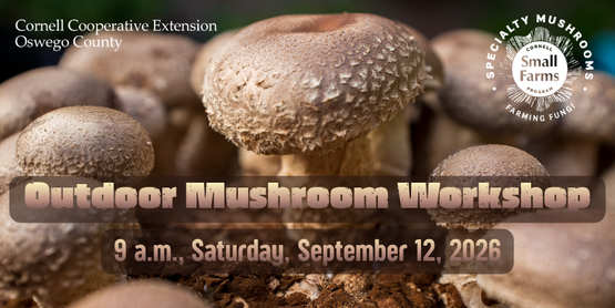 Mushroom