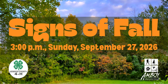 Signs of Fall