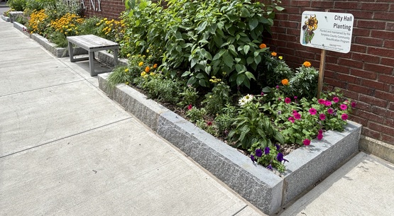 City Hall Planting with Sign