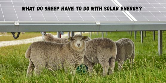 Agrivoltaics ADK Podcast