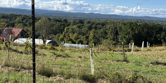 Farm land