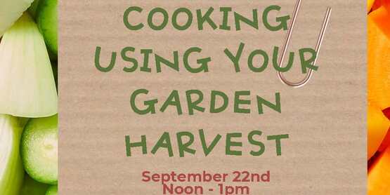 Cooking Using Your Harvest