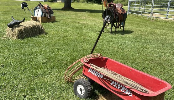 horse tour
