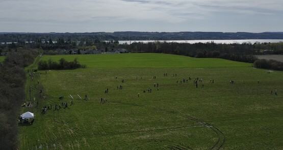 CNYLT Tree Planting