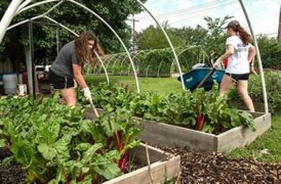 Come lend a hand and learn along the way as we plant our Teaching Garden for the season. 