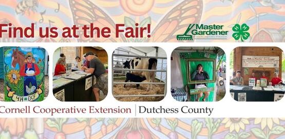 DC Fair 2026 Header