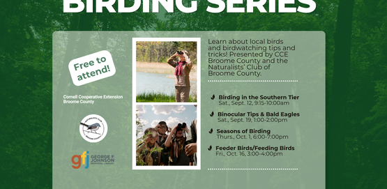 2026 Birding Series