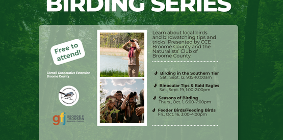 2026 Birding Series